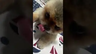 тупые, я вас ненавижу😜