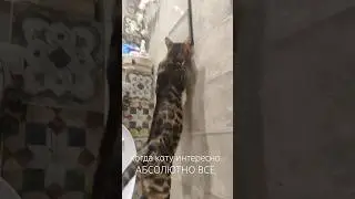 #глобальныерекомендации