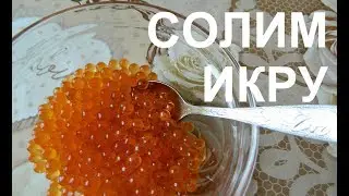 ИКРА КРАСНАЯ ДОМАШНЯЯ. КАК ПОСОЛИТЬ ИКРУ