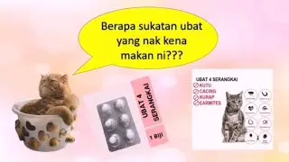 cara sukatan bagi makan ubat kucing 4 serangkai | ubat cacing, kutu, earmites, kurap