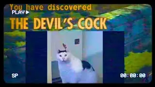 Adding Every Mod Possible And Taking A Shot Every Time Fallout New Vegas Crashes