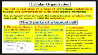 05 Cell structure and functinon  Cell Theory   Dr Essam Ibrahim   علوم صحية