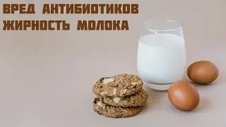 Молоко вредное - миф или правда?