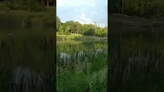 Это где ? Кто-то знает