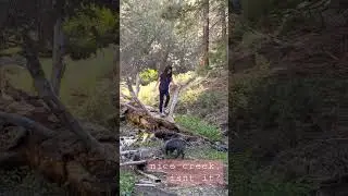 Let's stop by and enjoy the creek!
