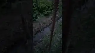 Вечер, Гудермес, май, помидоры