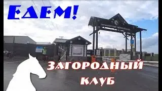 Белая лошадь клуб