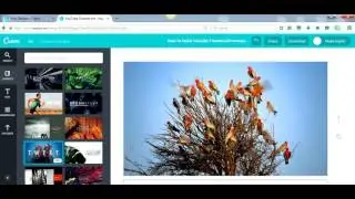 Fiverr Gig Ideas - How To Offer Design Gigs - NO EXPERIENCE NEEDED