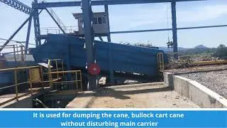 Auxiliary Cane Carrier