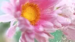 Капли на стекле.mpg