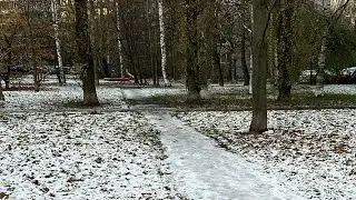 МОЙ СЕВЕРНЫЙ ДОМ. Гуляю/болтаю.