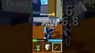 #shorts#roblox#bloxfruits kalo tembus 1jt langsung live🗿