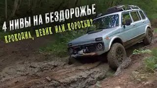 Бараний рог - М4 - Травалёв - Чёрное озеро. Экспедиция 