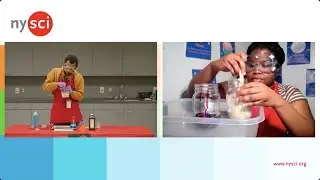 NYSCI Science-At-Home Celebrating Black Chemists