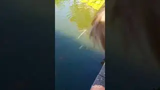Ботанический сад в Эрлангене