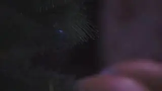 Christmas.