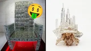 20 Cosas que no sabías que existían  👀