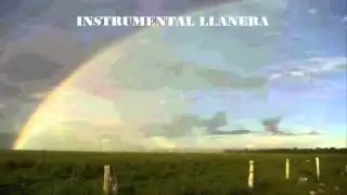 MÚSICA INSTRUMENTAL 2015 | LLANERITO |