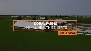 How to Create a Healthy Environment for Animals - Doral Farms