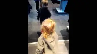 танцы в Молле 2