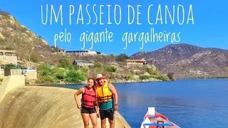 Navegando no Gigante