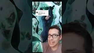 Que es un LOLICON?? 🤭🤔🤔🤔🤔🤣 