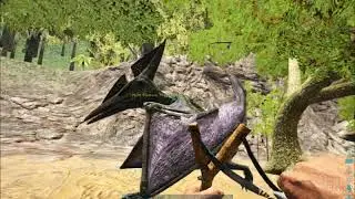 ИСЛЕДУЕМ И ПРОБУЕМ ПРИРУЧАТЬ ДИНОЗАВРА [ARK] #2