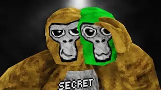 I Secretly Went VIRAL In Gorilla Tag