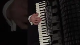 * Connie's Wedding  #accordion #fisarmonica #waltz #wedding #weddingsong #thegodfather