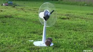 KuHaus Stand Fan Dance