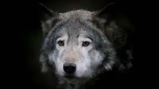 ROMRAM