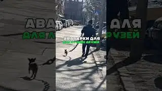 2 апреля 2024 г.