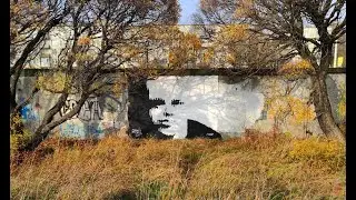 бабангида x metro 2033 - тень