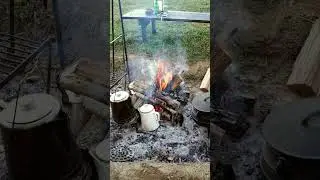 Hobbits vs Capitalism