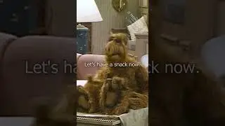 You got a cat? 🐈 