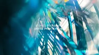 Star Fes Photography Shot on iPhone12 Pro Max