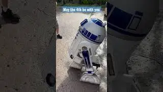 May the 4th be with you Star Wars Day 2023 #maythe4thbewithyou #shorts #starwars