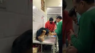 Fer Milange #viral #video #trending