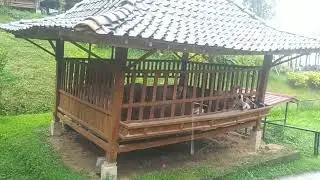 Kampung Ternak #kampungternak