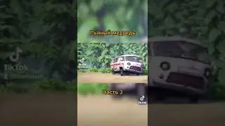 пьяный медведь