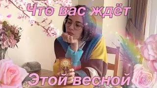 ВАША ВЕСНА 🌸 ТАРО РАСКЛАД