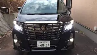 TRANCE30系アルファードタイプブラックウインカーポジションキット