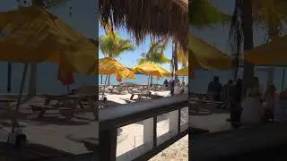 Красота 