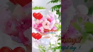 Good morning  #shorts #shortsvideoviral #youtubeshorts