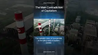 The Main Contradiction of Capitalism #shorts #capitalism #socialism #politics