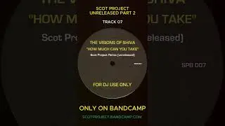 Visions Of Shiva - How Much Can You Take ( Scot Project 2018 Remix)