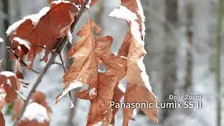 Dolly Zoom with Panasonic Lumix S5 II