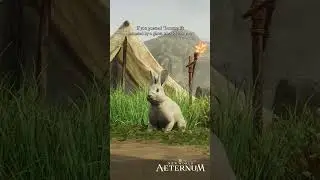 Aeternum Survival Guide - 5 Incredible Places to Visit