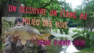 la pêche de la carpe :un étang abandonné dans les bois 2024.