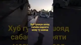23 октября 2023 г.